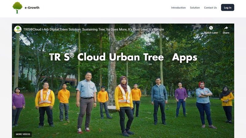 Scan the Tree, Make the Road Safe with AI
